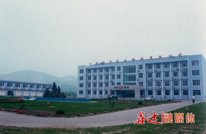 10月，迁安联钢龙腾钢铁有限公司成立；第一座128m³高炉点火生产。